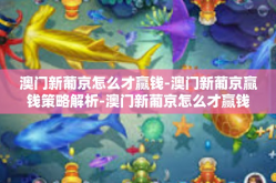 澳门新葡京怎么才赢钱-澳门新葡京赢钱策略解析-澳门新葡京怎么才赢钱