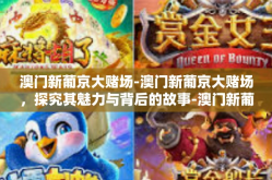 澳门新葡京大赌场-澳门新葡京大赌场，探究其魅力与背后的故事-澳门新葡京大赌场