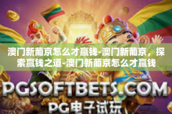 澳门新葡京怎么才赢钱-澳门新葡京，探索赢钱之道-澳门新葡京怎么才赢钱