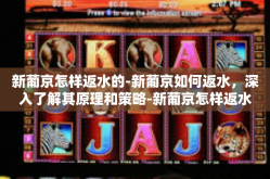 新葡京怎样返水的-新葡京如何返水，深入了解其原理和策略-新葡京怎样返水的
