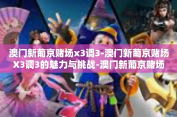 澳门新葡京赌场x3调3-澳门新葡京赌场X3调3的魅力与挑战-澳门新葡京赌场x3调3