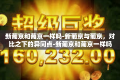 新葡京和葡京一样吗-新葡京与葡京，对比之下的异同点-新葡京和葡京一样吗