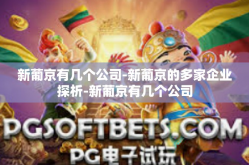 新葡京有几个公司-新葡京的多家企业探析-新葡京有几个公司