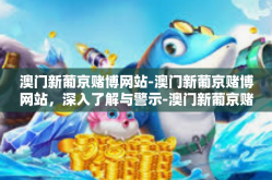 澳门新葡京赌博网站-澳门新葡京赌博网站，深入了解与警示-澳门新葡京赌博网站