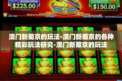 澳门新葡京的玩法-澳门新葡京的各种精彩玩法研究-澳门新葡京的玩法