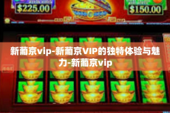 新葡京vip-新葡京VIP的独特体验与魅力-新葡京vip