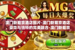 澳门新葡京酒店图片-澳门新葡京酒店，豪华与独特的完美融合-澳门新葡京酒店图片