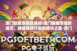 澳门新葡京提款成功-澳门新葡京提款成功，揭秘赌场行业的成功之道-澳门新葡京提款成功