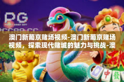 澳门新葡京赌场视频-澳门新葡京赌场视频，探索现代赌城的魅力与挑战-澳门新葡京赌场视频