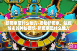 新葡京是什么地方-揭秘新葡京，这座城市的神秘面貌-新葡京是什么地方