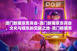 澳门新葡京贵宾会-澳门新葡京贵宾会，文化与娱乐的交融之地-澳门新葡京贵宾会