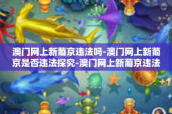 澳门网上新葡京违法吗-澳门网上新葡京是否违法探究-澳门网上新葡京违法吗