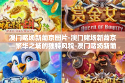 澳门赌场新葡京图片-澳门赌场新葡京—繁华之城的独特风貌-澳门赌场新葡京图片