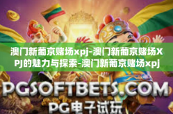 澳门新葡京赌场xpj-澳门新葡京赌场XPJ的魅力与探索-澳门新葡京赌场xpj
