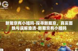 新葡京有小姐吗-探寻新葡京，真实面貌与误解澄清-新葡京有小姐吗