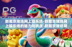 新葡京赌场网上娱乐场-新葡京赌场网上娱乐场的魅力与挑战-新葡京赌场网上娱乐场