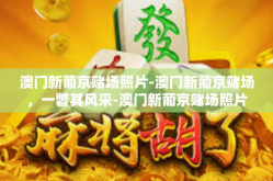 澳门新葡京赌场照片-澳门新葡京赌场，一瞥其风采-澳门新葡京赌场照片
