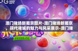 澳门赌场新葡京图片-澳门赌场新葡京，现代赌城的魅力与风采展示-澳门赌场新葡京图片