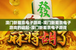 澳门新葡京电子游戏-澳门新葡京电子游戏的崛起-澳门新葡京电子游戏