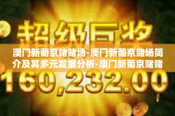 澳门新葡京赌赌场-澳门新葡京赌场简介及其多元发展分析-澳门新葡京赌赌场