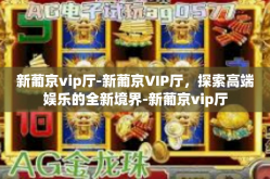 新葡京vip厅-新葡京VIP厅，探索高端娱乐的全新境界-新葡京vip厅