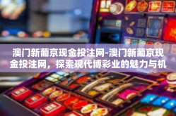 澳门新葡京现金投注网-澳门新葡京现金投注网，探索现代博彩业的魅力与机遇-澳门新葡京现金投注网