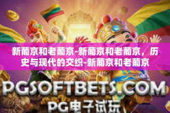 新葡京和老葡京-新葡京和老葡京，历史与现代的交织-新葡京和老葡京