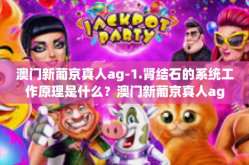 澳门新葡京真人ag-1.肾结石的系统工作原理是什么？澳门新葡京真人ag