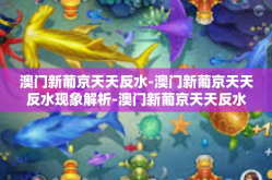 澳门新葡京天天反水-澳门新葡京天天反水现象解析-澳门新葡京天天反水