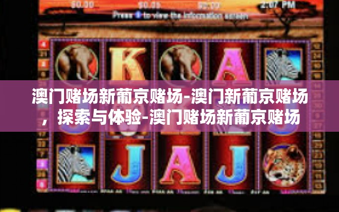 澳门赌场新葡京赌场-澳门新葡京赌场，探索与体验-澳门赌场新葡京赌场