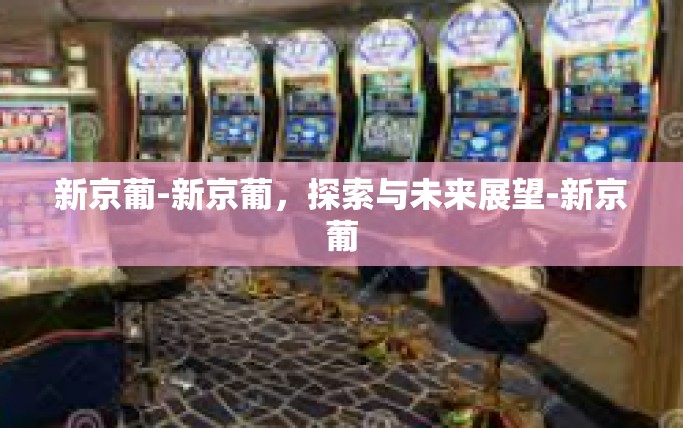 新京葡-新京葡，探索与未来展望-新京葡