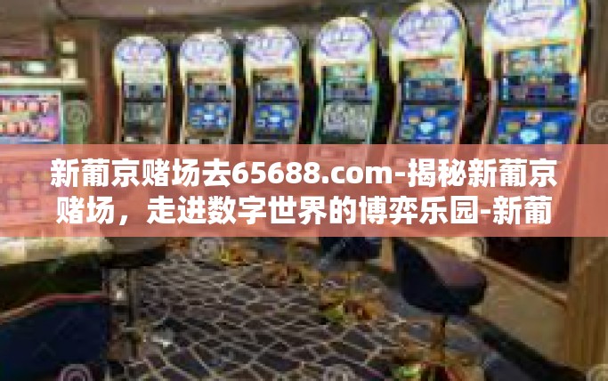 新葡京赌场去65688.com-揭秘新葡京赌场，走进数字世界的博弈乐园-新葡京赌场去65688.com