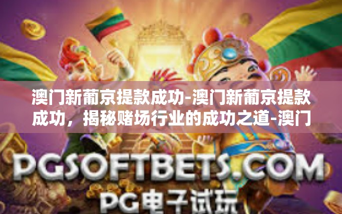 澳门新葡京提款成功-澳门新葡京提款成功，揭秘赌场行业的成功之道-澳门新葡京提款成功