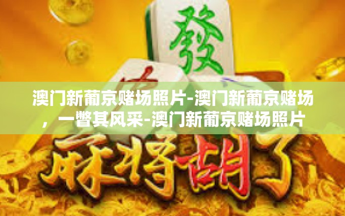 澳门新葡京赌场照片-澳门新葡京赌场，一瞥其风采-澳门新葡京赌场照片