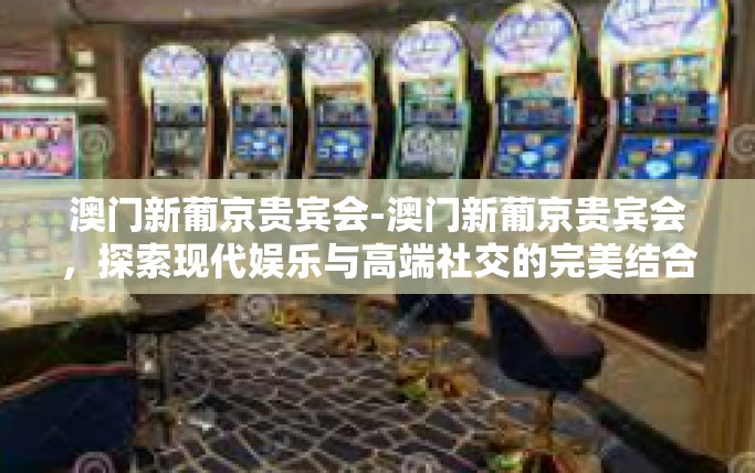 澳门新葡京贵宾会-澳门新葡京贵宾会，探索现代娱乐与高端社交的完美结合-澳门新葡京贵宾会