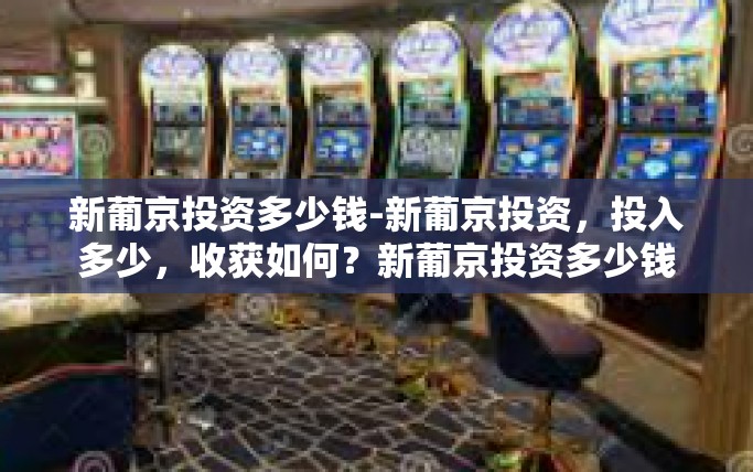 新葡京投资多少钱-新葡京投资，投入多少，收获如何？新葡京投资多少钱