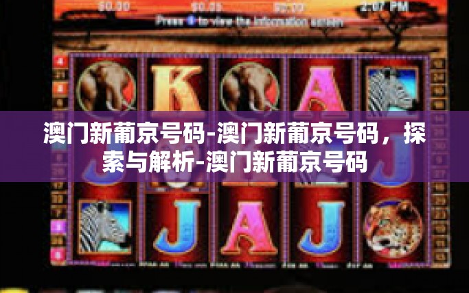 澳门新葡京号码-澳门新葡京号码，探索与解析-澳门新葡京号码