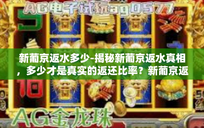 新葡京返水多少-揭秘新葡京返水真相，多少才是真实的返还比率？新葡京返水多少