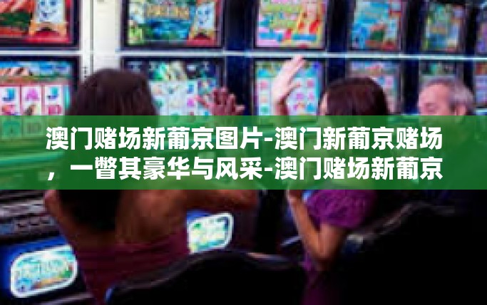 澳门赌场新葡京图片-澳门新葡京赌场，一瞥其豪华与风采-澳门赌场新葡京图片