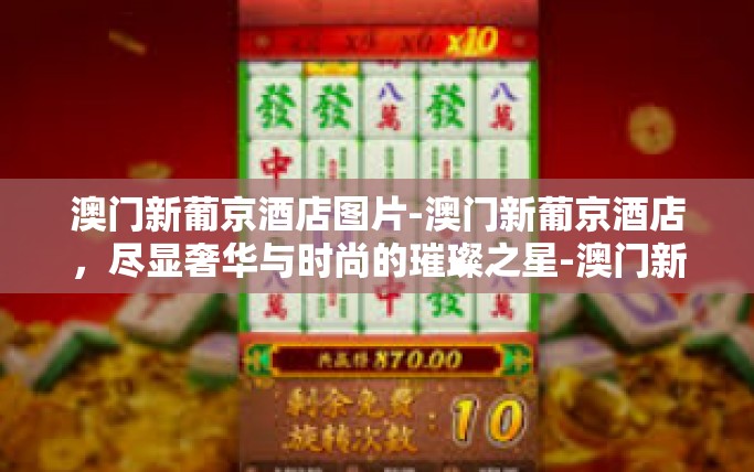 澳门新葡京酒店图片-澳门新葡京酒店，尽显奢华与时尚的璀璨之星-澳门新葡京酒店图片